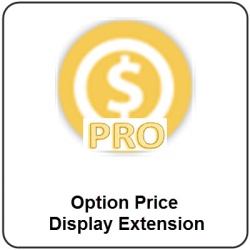 Option Price Display